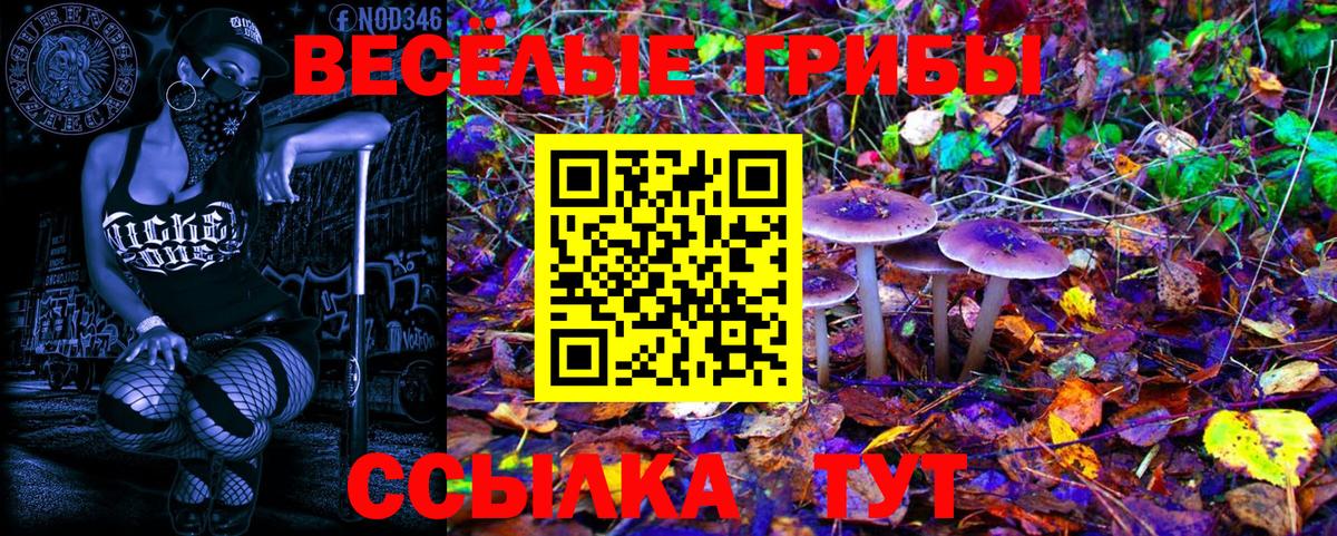 Бутурлиновка  Псилоцибиновые грибы MAGIC MUSHROOMS  закладки  Галлюциногенные грибы Cubensis  Вход с VPN 