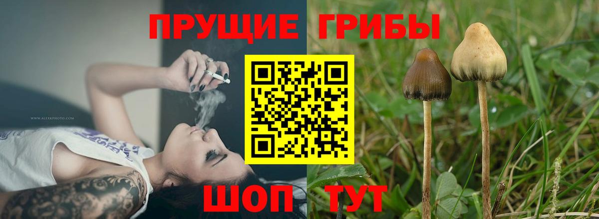 Галлюциногенные грибы мухоморы Бутурлиновка